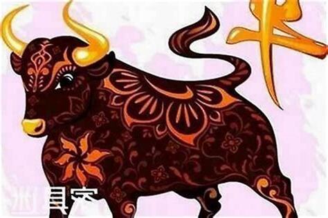 生肖 1997